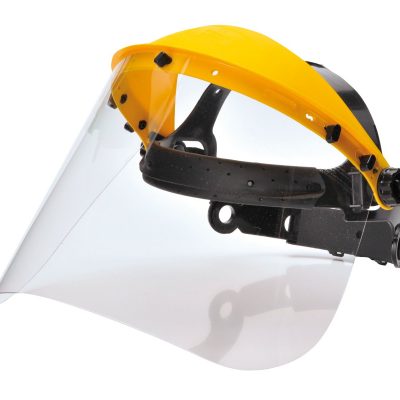 Browguard with Clear Visor